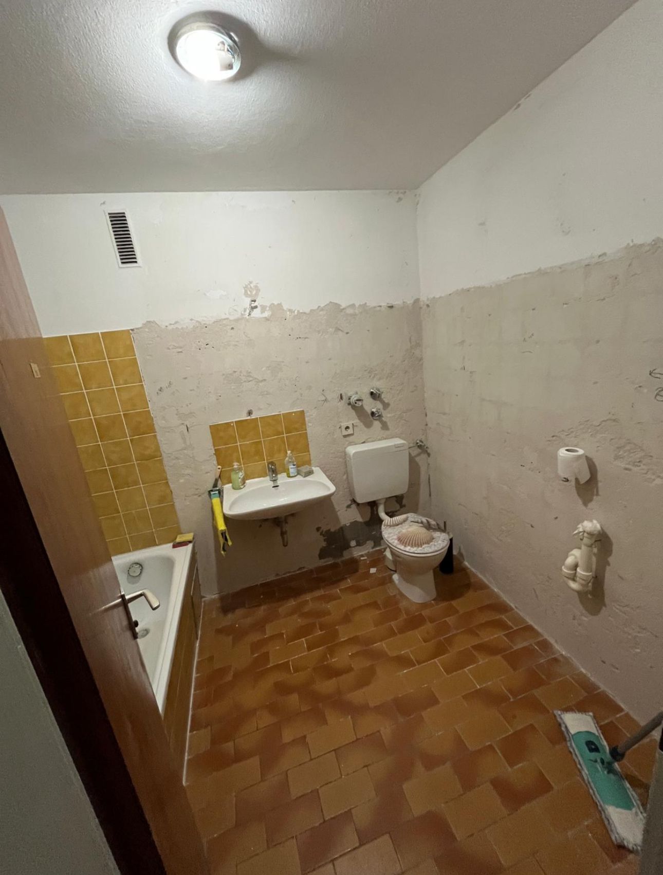 Vorher – Zustand vor der Reinigung