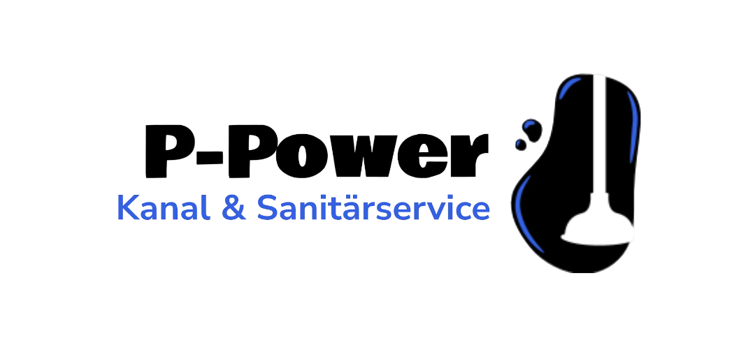 P-Power e.U. Logo